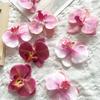 10 Pièces Têtes de Fleurs Phalaenopsis Artificielles en Fausse Soie Têtes d'Orchidées Artificielles pour Décoration de Bouquet de Mariage Bricolage