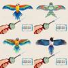 Swallow Plastic Eagle Bird Kite With Movable Wings For Kids Outdoor Fun Toys