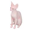 Model kočky Sphynx Vysoká simulace Životaschopná figurka zvířete Hračka pro sbírku Dekorace PL127‑1562