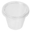 Made in Japan, Heat-Resistant Pudding Cups with Lids, 110cc, Pack of 100