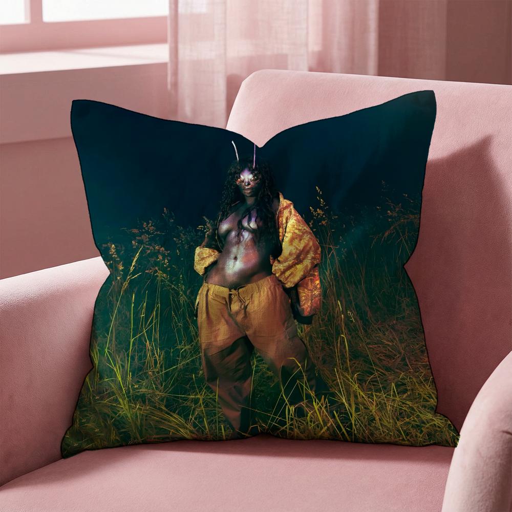 SZA Cushion Cover Multi-Scene Pillow Cover for Home & Car - Reversible, Soft & Durable for Daily Use
