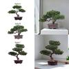 Artificial Pine Bonsai Potted Plant Decoration Desktop Display Durable Realistic