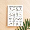 Fitness ve Vücut Geliştirme – Diğer Fitness ve Vücut Geliştirme Ürünleri