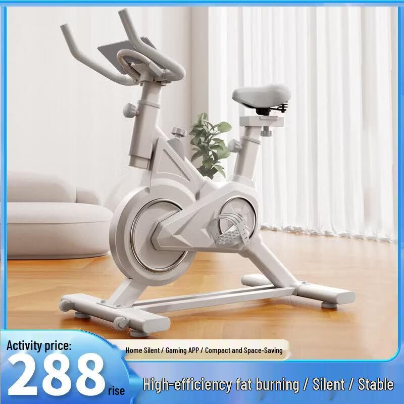Brangdy Home Exercise Bike