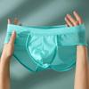 Men Panties Low-rise One Tone Slim Fit Briefs 3D U-Convex Breathable Mesh Ice Silk Thin Underwear Daily Wear