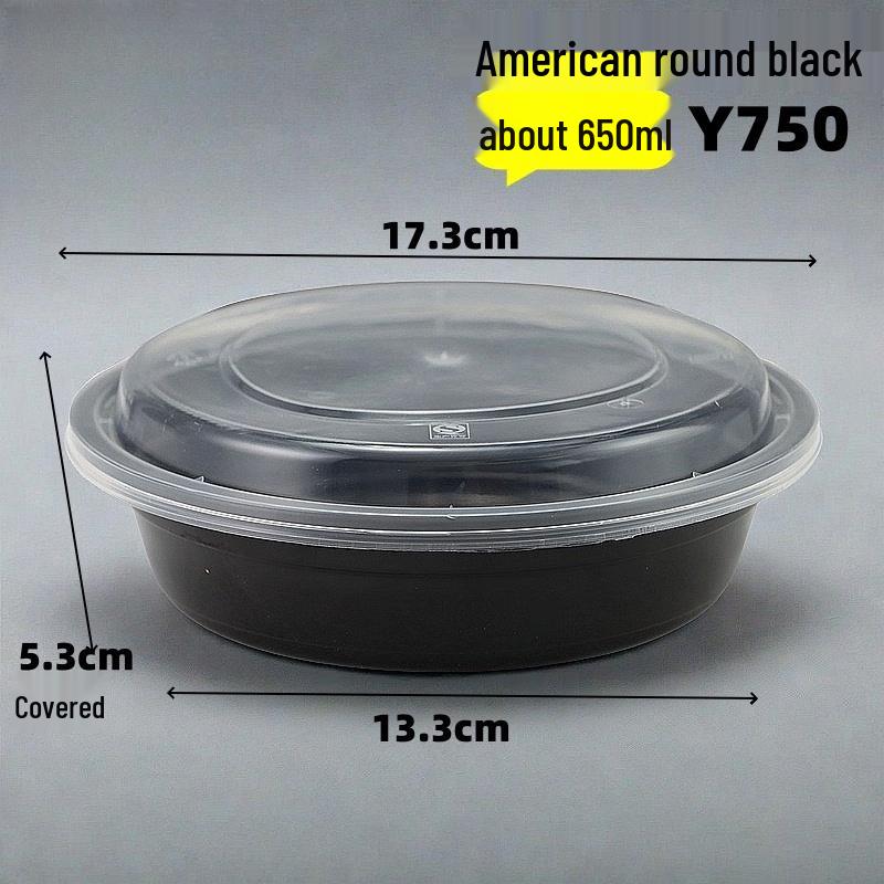 Disposable Rectangular Food Containers