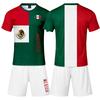 Men's 2 Piece Short Sleeve T-Shirt and Shorts Set, Color Casual Wear, Loose Fit