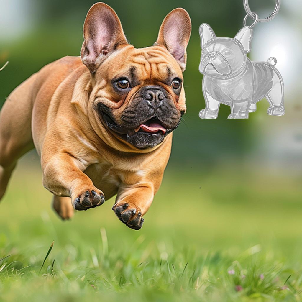 Clear Pet Hair Memorial Keepsakes Pendant Charm Portable Dog Shape Furs Collector Keychain For Key Or Bag Attachments