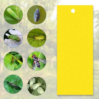Sticky Traps for Flying Plant Insect Fungus Gnats 20pcs Dual-Sided Flying Insect Traps Can