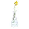 European Glass Vase for Fresh or Dried Flowers - Elegant Hydroponic Decoration Ornament
