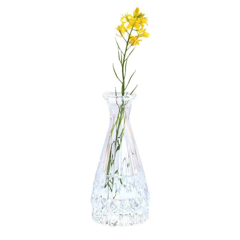 European Glass Vase for Fresh or Dried Flowers - Elegant Hydroponic Decoration Ornament