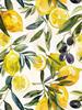 Blueberry Grapes Peaches Pomegranate Watercolor Fruit Poster Canvas Painting Modern Nature Wall Art Picture Home Decor Gift