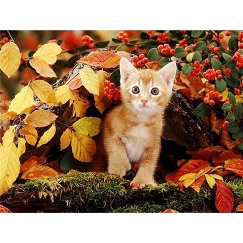 Flower DIY 5D Diamond Painting Full Round Drill Cat Diamond Embroidery Animal Cross Stitch Mosaic Rhinestones Art Handwork Gift