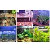 55KF Rotatable Led Aquarium Lights Clean Water Grow Aquarium Landscape Clip On Lamps