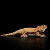 Reptile Lizard Plush Toy 42cm Realistic Lizard Toy Model Cute Plush Toy Home Decoration Unique Plush Toy...