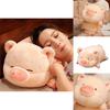 Cute Pink Pig Plush Toy Pillow For Girls And Children Short Plush And Pp Cotton Filling 40x22x20cm