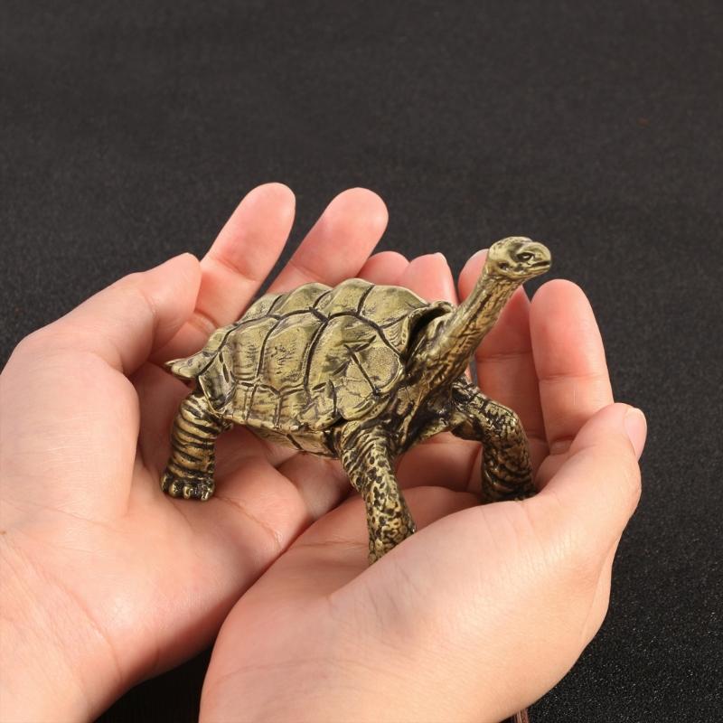 Decorative Metal Storage Box For Rings Necklaces Ashtray In Tortoise Design Artistic Turtles themed Brass Container