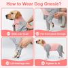Recovery Suit for Dogs After Sugery, Dog Surgery Recovery Suit for Female Spay Neuter Dogs, Breathable Dog Onesie Spay Body Suit for Abdominal Wounds