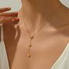 Elegante Collana da Donna con Ciondolo Cuore Pesca e Frange Acciaio Inossidabile Choker a Forma di Cuore Regalo per San Valentino Anniversario