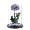 Eternal Flower Glass Cover Little Prince Rose Valentine's Day Gift Premium Finished Gift Box
