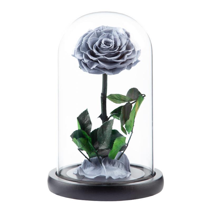 Eternal Flower Glass Cover Little Prince Rose Valentine's Day Gift Premium Finished Gift Box