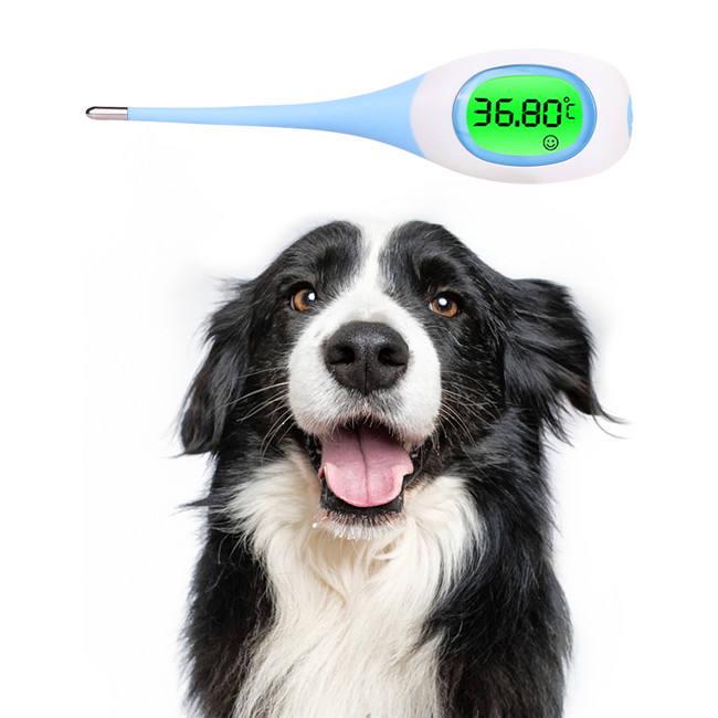 8-Second Electronic Thermometer for Home Use: Accurate for Adult, Infant, and Child Temperature Measurement, Oral or Axillary.