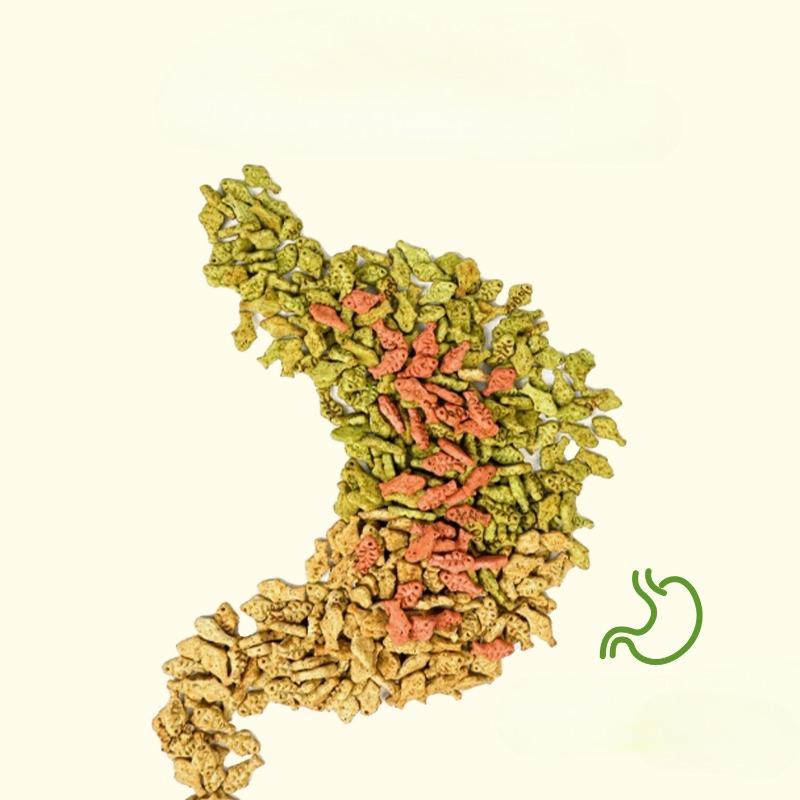 Yihe Catnip Pet Cat Snacks, Cat Snacks, Cat Grass Cookies, Teething Food, Pet Supplies