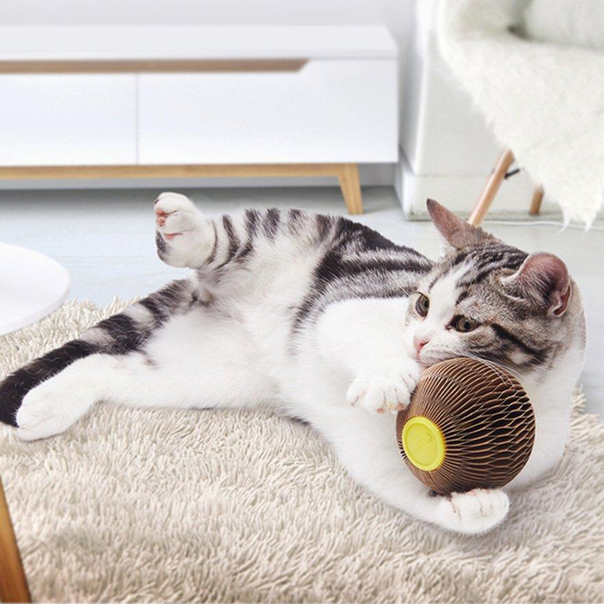 cat ball scratch toy