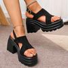 Fashion Women's Gothic Chunky Heels Sandals Summer 2025 Fashion Buckle Strap Platform Sandals Woman Thick Bottom High Heels Roman Shoes