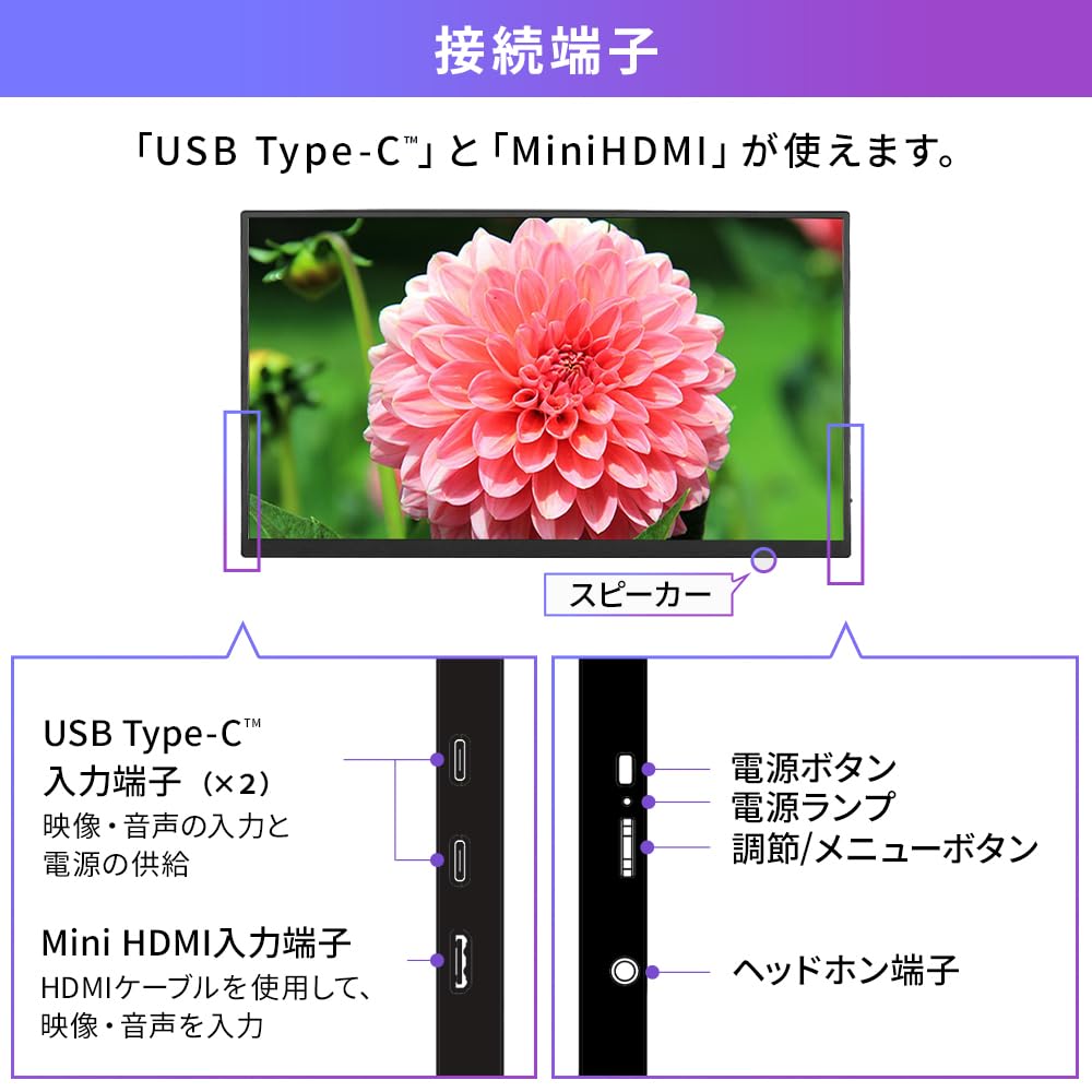 Iris Ohyama Portable Slim Black Monitor, 18.5-inch FHD, Design, Compact, Non-Glossy, 60Hz, DP-EF184S-B,