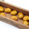 Lifelike Realistic Artificial Vegetable Model Photography Prop Potato Model Cognitive Toy