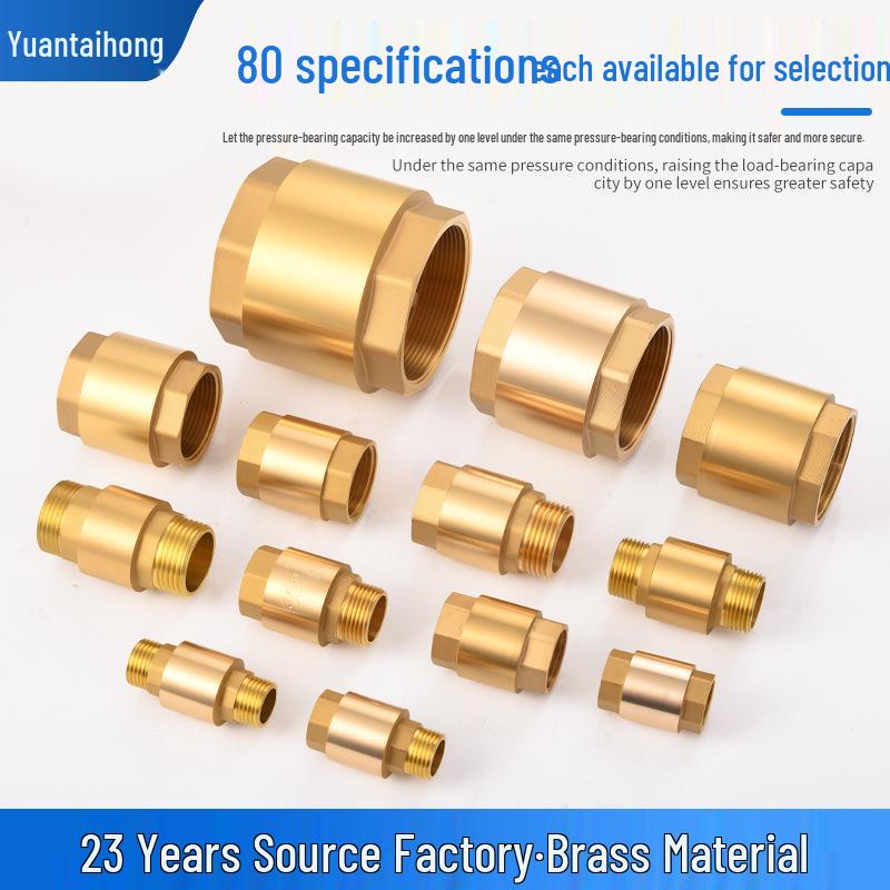 Brass One-Way Lift Check Valve & Backflow Preventer for Water Systems