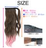 Wig Gradient Ponytail Long Wave Wig Extensions [Brightlara] Two-tone One-touch cy73x-K-PK
