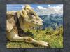 GLAS-SCHNEIDEBRETT 40x30 KUH