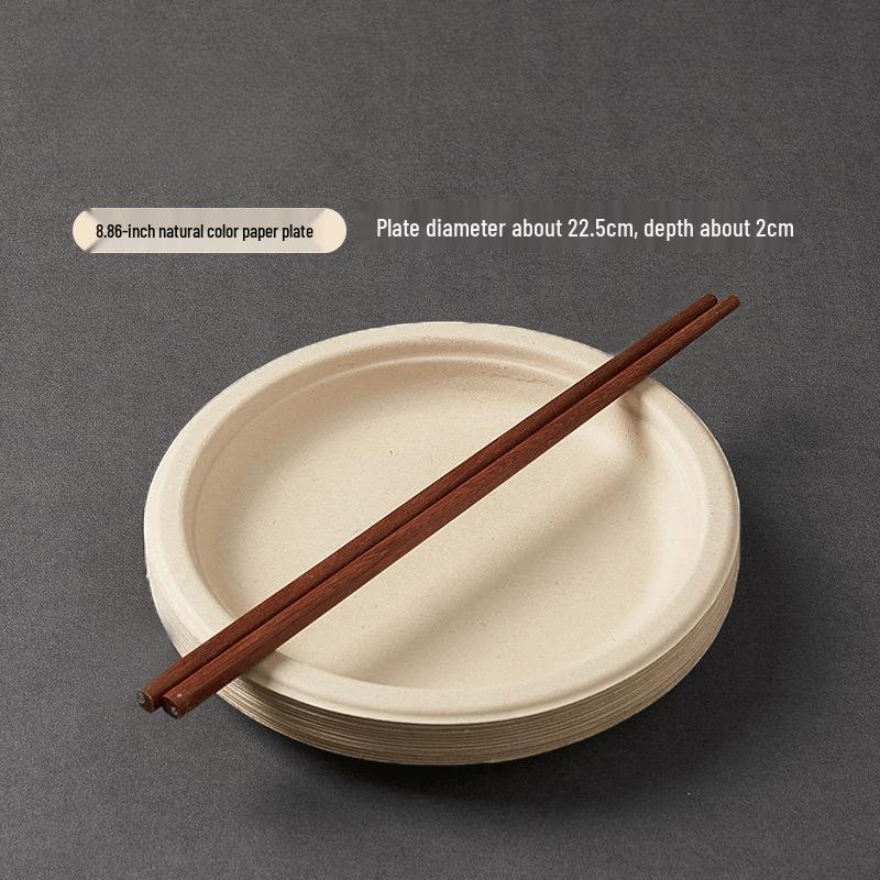 Eco-Friendly Disposable Tableware Set