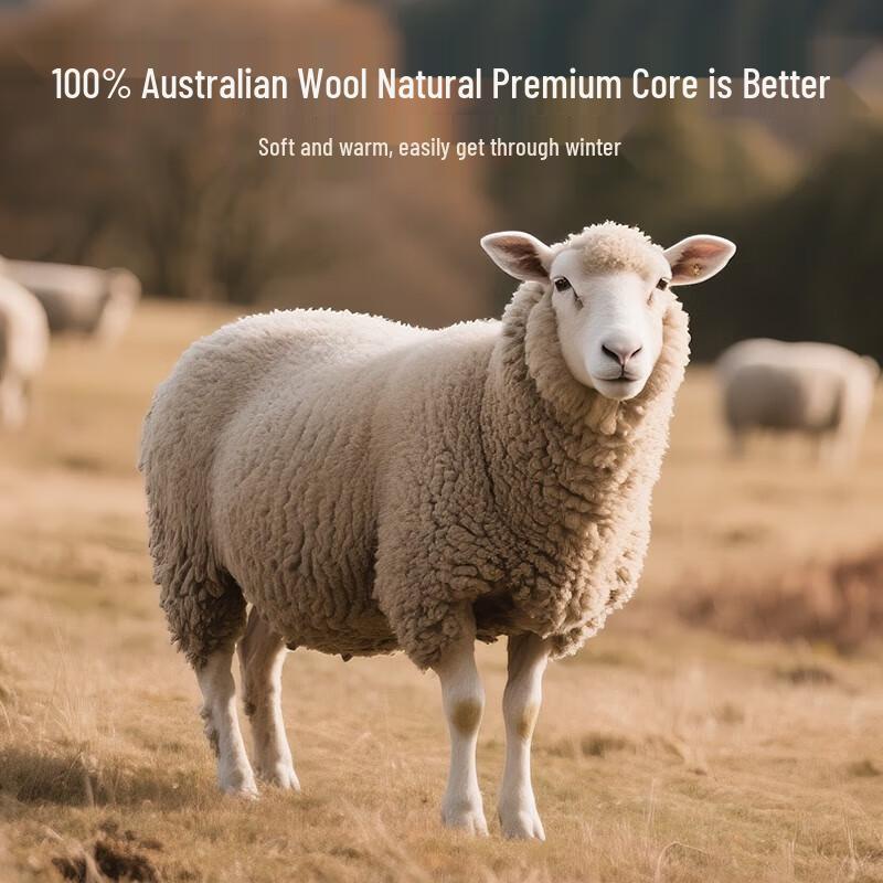 HLA 7A Antibacterial 100% Pure Wool Winter Duvet