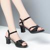 fashion 2024 New Thick Heel Dance Shoes Women's High Heels Fashion Summer Simple One Line Buckle Comfortable  Sandals Office Mom Grace