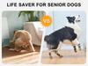 Cross-Border Non-Slip Breathable Dog Socks for Medium & Large Breeds - Golden Retriever Outdoor Paw Covers