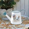 Annaffiatoio con Beccuccio Lungo Decorativo in Metallo Stile Rustico Attrezzo da Giardino per Coltivatori, Balcone