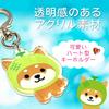 LamPlanning Reise-Mameshiba Acryl-Schlüsselanhänger-Anhänger, Shiba Inu, Mameshiba, Niedliches Charakter-Maskottchen, Beruhigend, Hergestellt in Japan (Melonen-Version, 3er-Set)