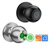 Fingerabdruck Türknauf Haushalt Smart Türknauf Fingerabdruck Türschloss Diebstahlschutz Smart Lock Biometrisches Türschloss