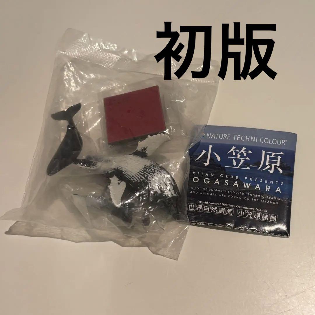 

[USED] First edition/Nature Technicolor/Ogasawara Humpback Whale