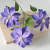 Artificial Clematis Flower 27.5" Long Stem Fake Silk Flower Branches with 3 Heads Blooms for Vase Indoor Home Table Decor Floral Arrangement