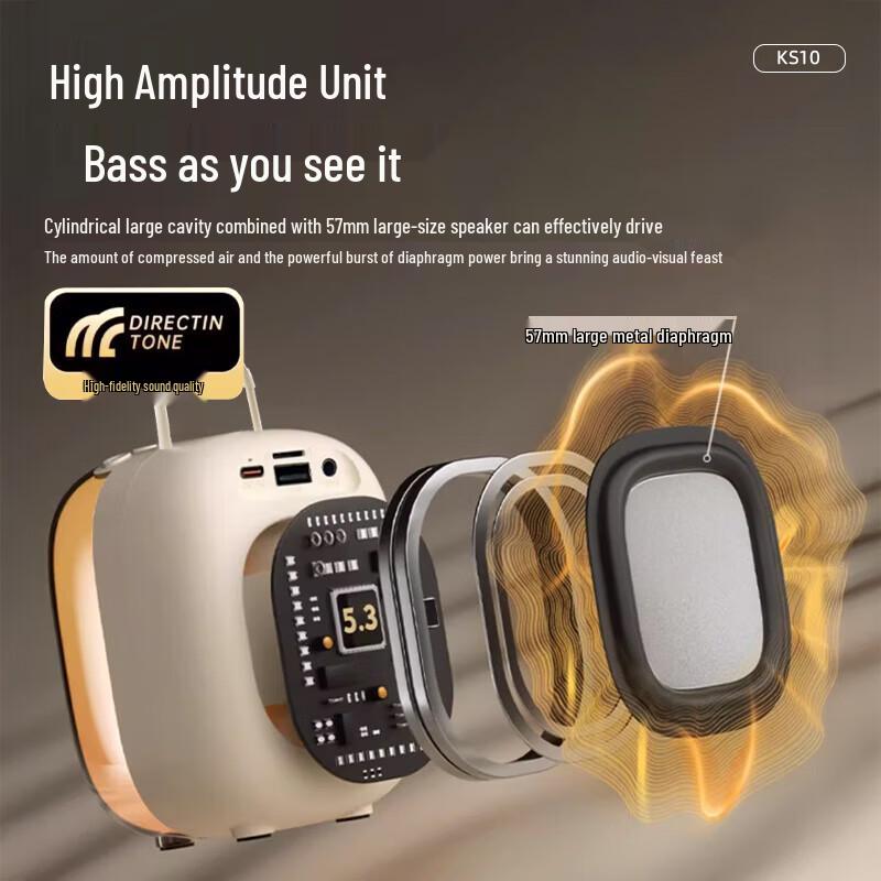 Newmine KS10 Portable Karaoke Mini Speaker