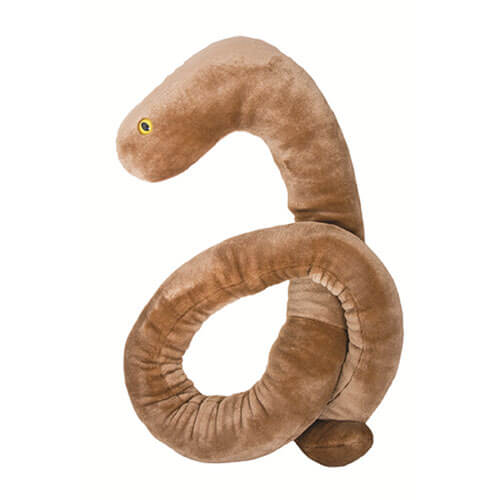 Microbi giganti (Ebola)