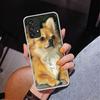 Chihuahua Puppy Teacup Dogs Phnoe Case for Samsung Galaxy A17 A37 A57 A16 A26 A36 A56 A15 A14 A13 A55 A54 A53 A35 A34 A33 A25 A2