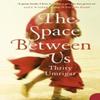 The Space Between Us by Thrity Umrigar Paperback Book 9780007212330