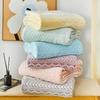 Winter Coral Fleece Blanket Office Nap Cover Flannel Student Dormitory Blanket Thick Double Bed Sheet