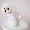 Pet Sweater Jacket Multi-layer Skirt Warm and Cold Proof Winter Clothing Can Be Pulled with Two Legs Clothes Puppy Clothes