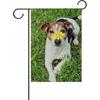 MOYYO Cute Jack Russell Terrier Dog Garden Flag 12 X 18 Inch Welcome Yard Garden Flag Double Sided Decorative Flag for Patio Lawn Outdoor Home Decor